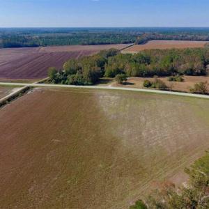 Photo of SOLD!!  164.75 Acres of Farm and Timber Land For Sale in Craven County NC!