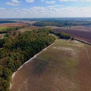 Photo of SOLD!!  164.75 Acres of Farm and Timber Land For Sale in Craven County NC!