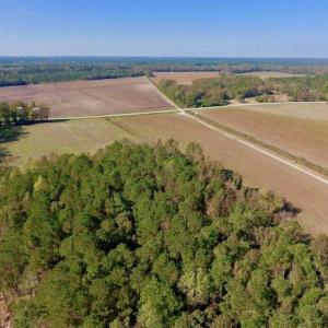 Photo of SOLD!!  164.75 Acres of Farm and Timber Land For Sale in Craven County NC!