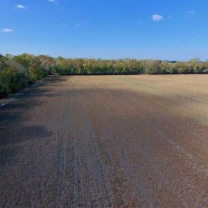 Photo of SOLD!!  164.75 Acres of Farm and Timber Land For Sale in Craven County NC!