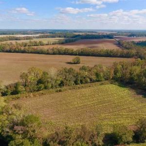 Photo of SOLD!!  164.75 Acres of Farm and Timber Land For Sale in Craven County NC!