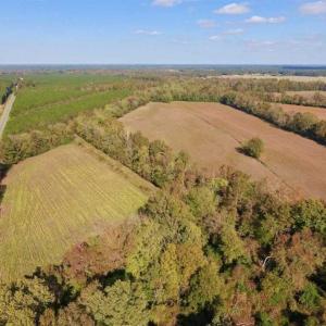 Photo of SOLD!!  164.75 Acres of Farm and Timber Land For Sale in Craven County NC!