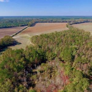 Photo of SOLD!!  164.75 Acres of Farm and Timber Land For Sale in Craven County NC!