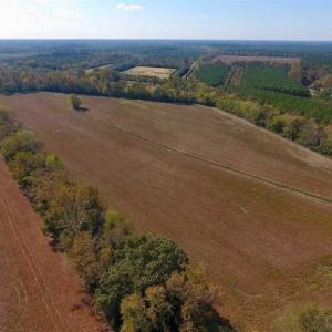 Photo of SOLD!!  164.75 Acres of Farm and Timber Land For Sale in Craven County NC!