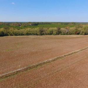 Photo of SOLD!!  164.75 Acres of Farm and Timber Land For Sale in Craven County NC!