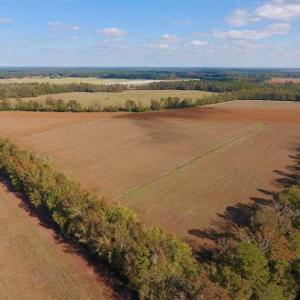 Photo of SOLD!!  164.75 Acres of Farm and Timber Land For Sale in Craven County NC!