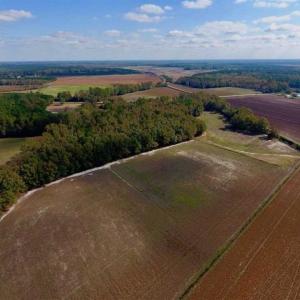 Photo of SOLD!!  164.75 Acres of Farm and Timber Land For Sale in Craven County NC!