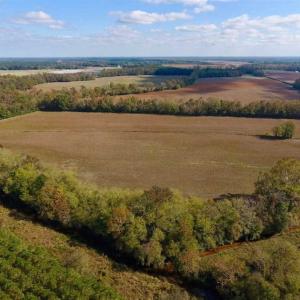 Photo of SOLD!!  164.75 Acres of Farm and Timber Land For Sale in Craven County NC!