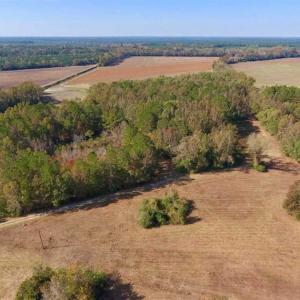 Photo of SOLD!!  164.75 Acres of Farm and Timber Land For Sale in Craven County NC!