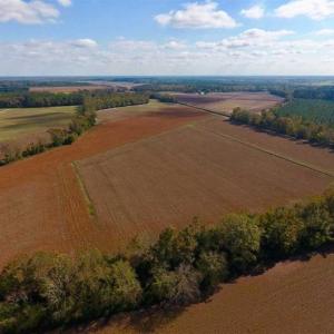 Photo of SOLD!!  164.75 Acres of Farm and Timber Land For Sale in Craven County NC!