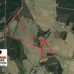 Photo of SOLD!!  164.75 Acres of Farm and Timber Land For Sale in Craven County NC!