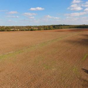 Photo of SOLD!!  164.75 Acres of Farm and Timber Land For Sale in Craven County NC!