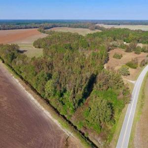 Photo of SOLD!!  164.75 Acres of Farm and Timber Land For Sale in Craven County NC!