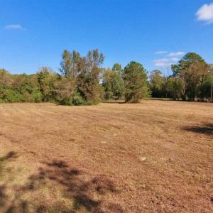 Photo of SOLD!!  164.75 Acres of Farm and Timber Land For Sale in Craven County NC!