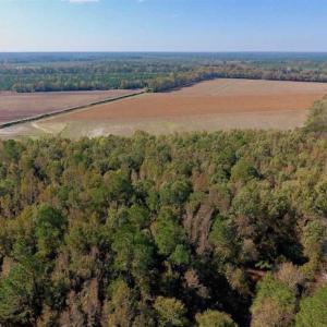 Photo of SOLD!!  164.75 Acres of Farm and Timber Land For Sale in Craven County NC!
