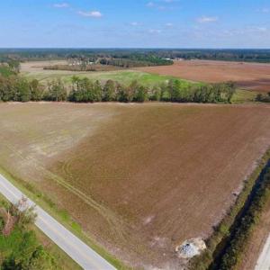 Photo of SOLD!!  164.75 Acres of Farm and Timber Land For Sale in Craven County NC!