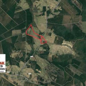 Photo of SOLD!!  164.75 Acres of Farm and Timber Land For Sale in Craven County NC!