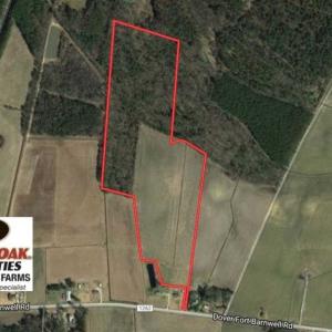 Photo of UNDER CONTRACT!!  43.57 Acres of Farm and Timber Land For Sale in Craven County NC!