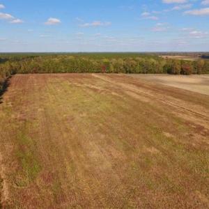 Photo of UNDER CONTRACT!!  43.57 Acres of Farm and Timber Land For Sale in Craven County NC!