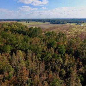 Photo of UNDER CONTRACT!!  43.57 Acres of Farm and Timber Land For Sale in Craven County NC!