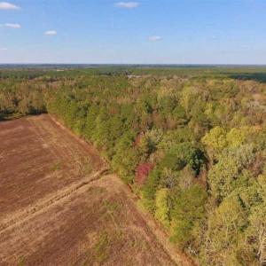 Photo of UNDER CONTRACT!!  43.57 Acres of Farm and Timber Land For Sale in Craven County NC!