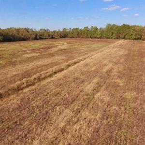 Photo of UNDER CONTRACT!!  43.57 Acres of Farm and Timber Land For Sale in Craven County NC!