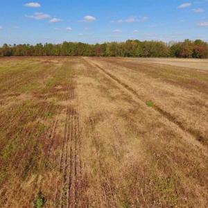 Photo of UNDER CONTRACT!!  43.57 Acres of Farm and Timber Land For Sale in Craven County NC!