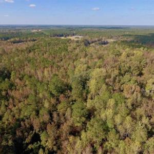 Photo of UNDER CONTRACT!!  43.57 Acres of Farm and Timber Land For Sale in Craven County NC!