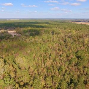Photo of UNDER CONTRACT!!  43.57 Acres of Farm and Timber Land For Sale in Craven County NC!