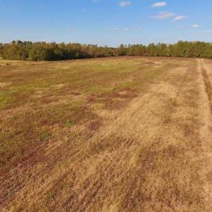 Photo of UNDER CONTRACT!!  43.57 Acres of Farm and Timber Land For Sale in Craven County NC!