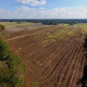 Photo of UNDER CONTRACT!!  43.57 Acres of Farm and Timber Land For Sale in Craven County NC!