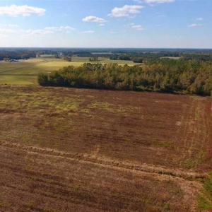 Photo of UNDER CONTRACT!!  43.57 Acres of Farm and Timber Land For Sale in Craven County NC!