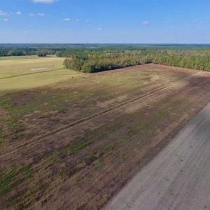 Photo of UNDER CONTRACT!!  43.57 Acres of Farm and Timber Land For Sale in Craven County NC!
