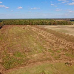 Photo of UNDER CONTRACT!!  43.57 Acres of Farm and Timber Land For Sale in Craven County NC!