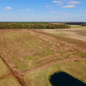 Photo of UNDER CONTRACT!!  43.57 Acres of Farm and Timber Land For Sale in Craven County NC!