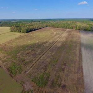 Photo of UNDER CONTRACT!!  43.57 Acres of Farm and Timber Land For Sale in Craven County NC!