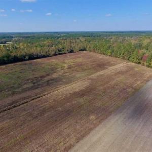 Photo of UNDER CONTRACT!!  43.57 Acres of Farm and Timber Land For Sale in Craven County NC!