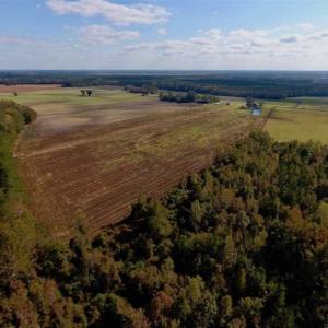 Photo of UNDER CONTRACT!!  43.57 Acres of Farm and Timber Land For Sale in Craven County NC!