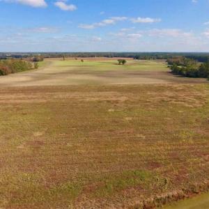 Photo of UNDER CONTRACT!!  43.57 Acres of Farm and Timber Land For Sale in Craven County NC!