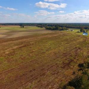 Photo of UNDER CONTRACT!!  43.57 Acres of Farm and Timber Land For Sale in Craven County NC!