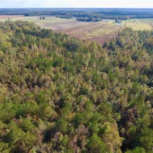 Photo of UNDER CONTRACT!!  43.57 Acres of Farm and Timber Land For Sale in Craven County NC!