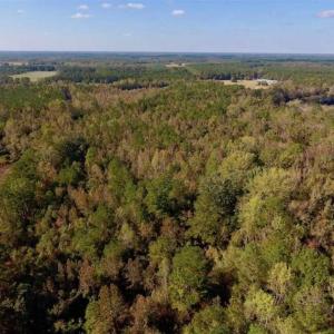 Photo of UNDER CONTRACT!!  43.57 Acres of Farm and Timber Land For Sale in Craven County NC!