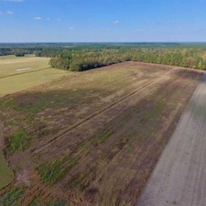 Photo of UNDER CONTRACT!!  43.57 Acres of Farm and Timber Land For Sale in Craven County NC!
