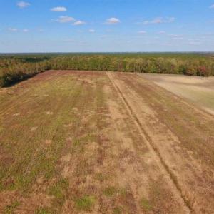 Photo of UNDER CONTRACT!!  43.57 Acres of Farm and Timber Land For Sale in Craven County NC!