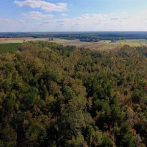 Photo of UNDER CONTRACT!!  43.57 Acres of Farm and Timber Land For Sale in Craven County NC!