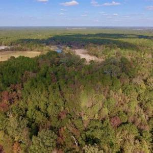 Photo of UNDER CONTRACT!!  43.57 Acres of Farm and Timber Land For Sale in Craven County NC!