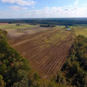 Photo of UNDER CONTRACT!!  43.57 Acres of Farm and Timber Land For Sale in Craven County NC!