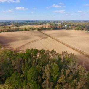 Photo of SOLD!!  58 Acres of Farm Land For Sale in Craven County NC!