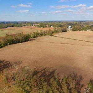 Photo of SOLD!!  58 Acres of Farm Land For Sale in Craven County NC!