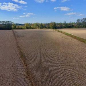 Photo of SOLD!!  58 Acres of Farm Land For Sale in Craven County NC!